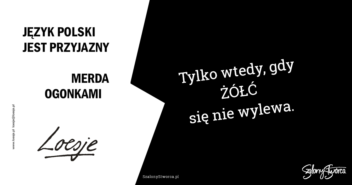 Język polski jest przyjazny merda ogonkami.